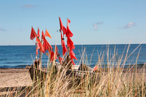Ferienwohnung in Baabe - Seepferdchen - Bild 3