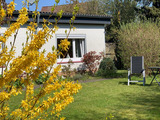 Bungalow in Grömitz - Haus Mia - Bild 1