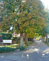 Ferienwohnung in Gr&ouml;mitz - Deichkrone - Eingang durch die Allee zum Haus