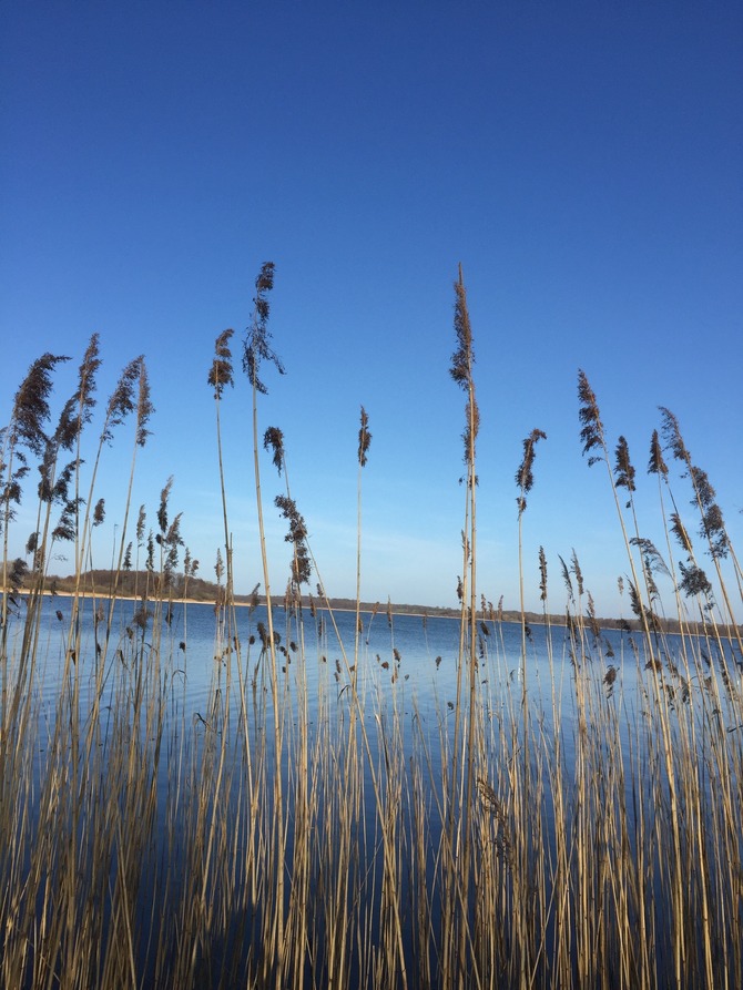 Ferienwohnung in Hemmelsdorf - Haus Muigg - Bild 12