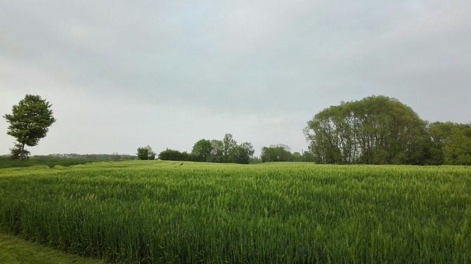 Ferienhaus in Michaelsdorf - Hagedorn - Blick aus dem Garten