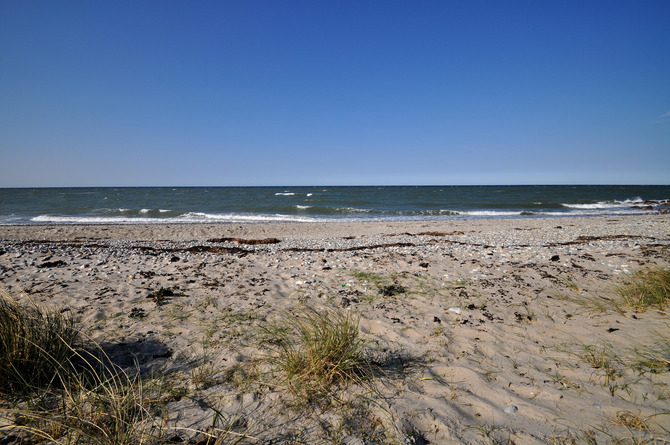 Ferienwohnung in Fehmarn OT Teichhof - Teichhof das Gut-am-Strand - Bild 18