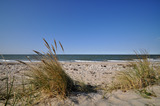 Ferienwohnung in Fehmarn OT Teichhof - Teichhof das Gut-am-Strand - Bild 19