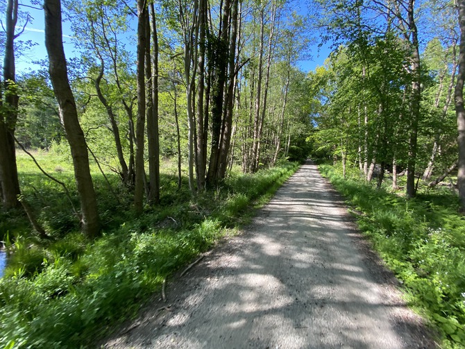 Ferienwohnung in Prerow - Haus zur See - WG Gruzdz - Dar&szlig;er Wald