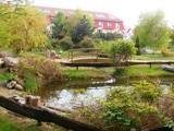 Ferienwohnung in Kühlungsborn - Maisonette Dünengarten - Bild 10