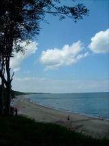 Ferienwohnung in Rerik - Strandl&auml;ufer in der Villa Rosita - Bild 22