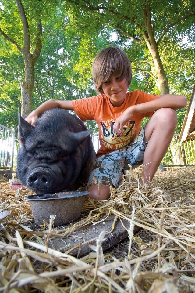 Ferienwohnung in Fehmarn OT Meeschendorf - "Ferienhof Sporleder" - Bauernhaus 2 - Bild 12