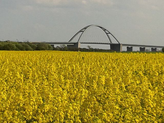 Ferienwohnung in Fehmarn OT Burg - FW Lippert - "&Uuml;ber den D&auml;chern der Altstadt" - Bild 14