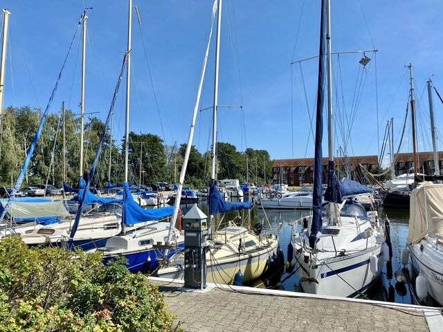 Ferienwohnung in Ueckermünde - Lagunenstadt am Haff Fewo 22 - Backbord - Bild 13