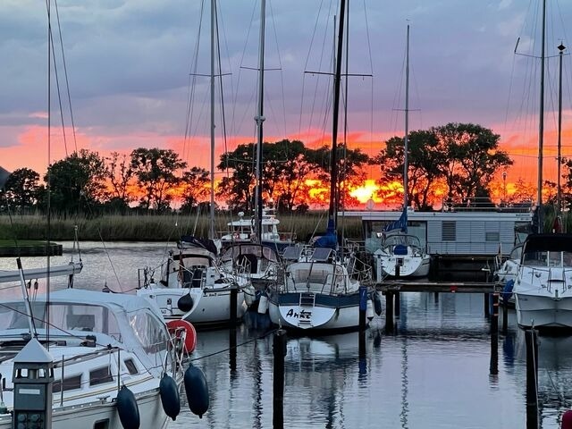 Ferienwohnung in Ueckermünde - Lagunenstadt am Haff Fewo 247 - Krebs - Bild 14