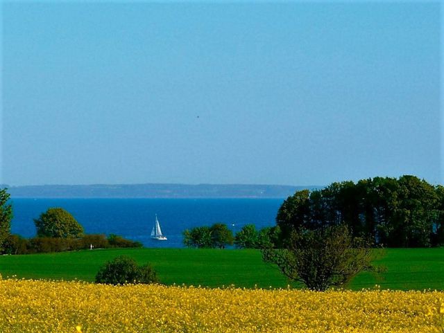 Ferienwohnung in Gr&ouml;mitz - Ferienhaus Marina II - Whg. 4 - Bild 22