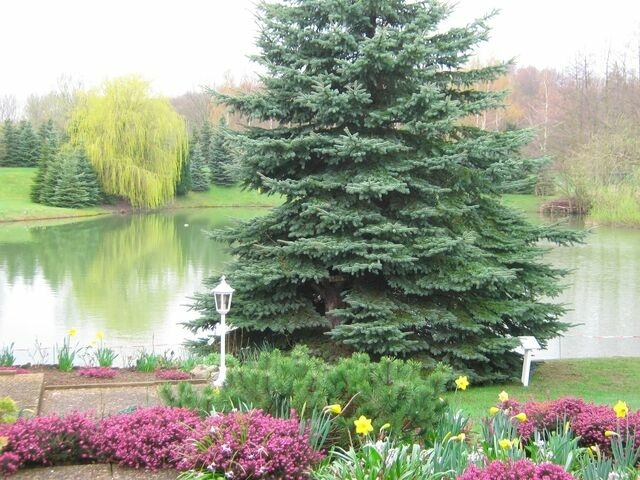 Ferienwohnung in Cismar - Haus am Kojenteich - Whg. 2 - Klosterdorf Cismar - gepflegte Wohnung auf idyllischem Seegrundstück - Bild 20