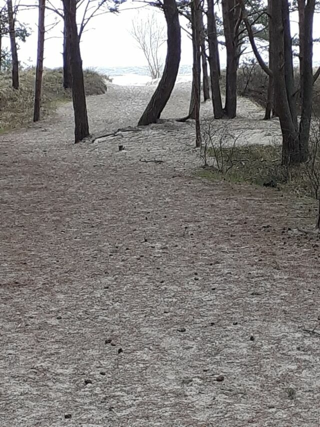 Ferienwohnung in Karlshagen - ferienwohnung köster - Bild 16