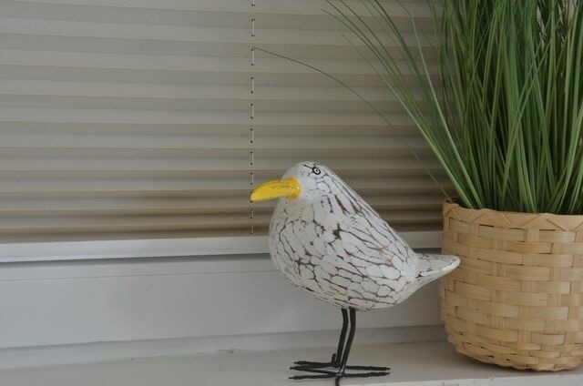 Ferienwohnung in Ostseeheilbad Zingst - Strandperle 9, PP au&szlig;en - Bild 9