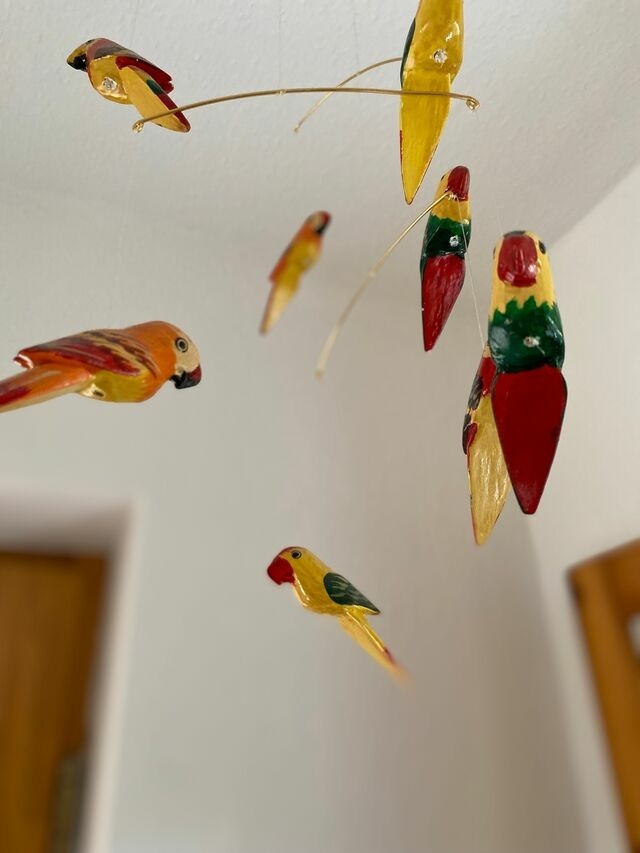 Ferienhaus in Marlow - Ferienhäuser am Vogelpark - Boddenhaus 60 - Bild 23