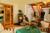 Ferienwohnung in Klütz - Palm Ferienhaus - Grün - Bild 1