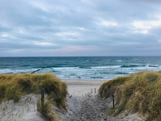 Ferienwohnung in Zingst - Ostseeresidenz - Whg. 15 Ostseeblick - Bild 17