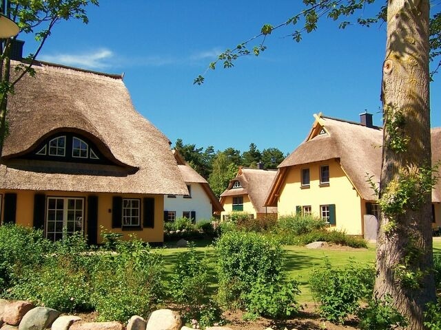 Ferienhaus in Dierhagen - Reetgedecktes Ferienhaus - Bild 5