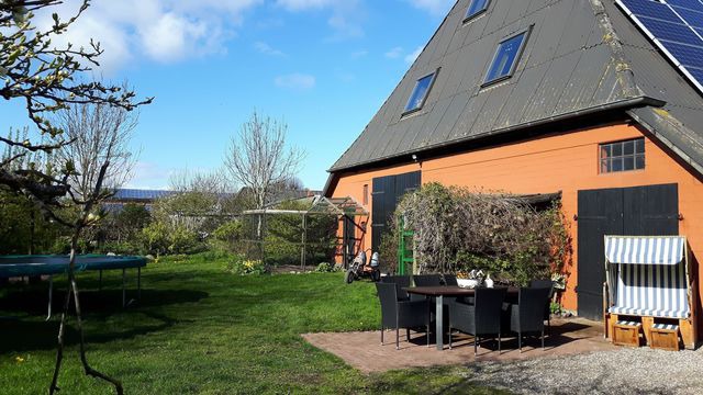 Ferienwohnung in Fehmarn OT Sahrensdorf - Ferienwohnung "Gänseblümchen" im Ferienhaus Nielson in Petersdorf - Bild 17