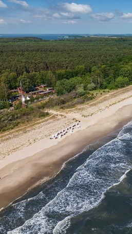 Strandkoje