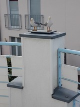 Ferienwohnung in Grömitz - Grüntal 4, Whg. 5 - Bild 14