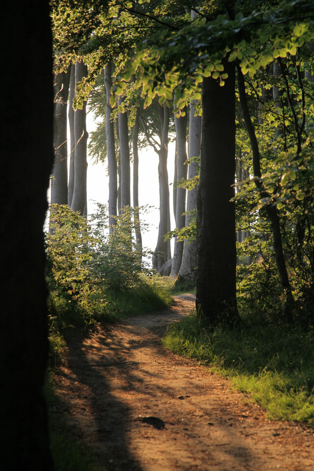 Ferienwohnung in Carinerland - Wagen am Rande der Welt - Bild 17