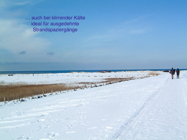 Ferienwohnung in Wendtorf - Whg. Sturmm&ouml;we - Haus Nordlichter - Bild 25