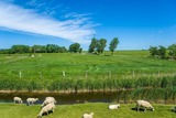 Ferienwohnung in Fehmarn OT Vitzdorf - Ferienwohnung Kaminstube - Bild 12