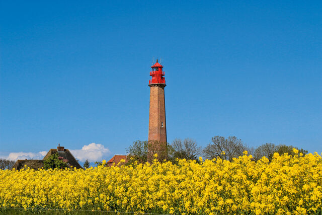 Ferienwohnung in Fehmarn OT Klausdorf - Sonnenschein - Bild 14