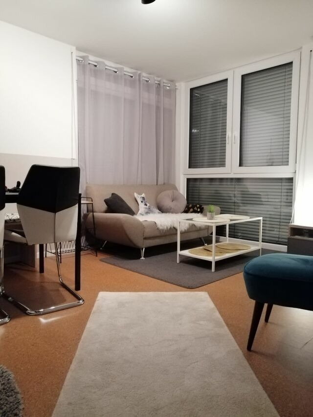 Ferienwohnung in Gr&ouml;mitz - Sonnendeck - Bild 3