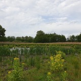 Ferienwohnung in Hornstorf OT Rüggow - Quaduxenbarg - Bild 16