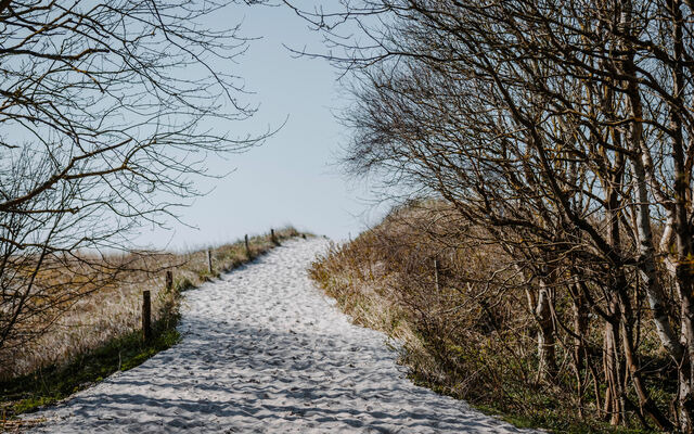 Ferienhaus in Ahrenshoop - Seewind - Bild 9