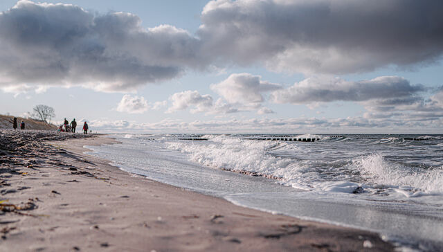 Ferienwohnung in Ahrenshoop - Stranddistel 4 - Bild 7