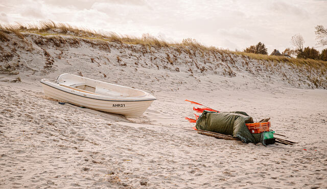 Ferienwohnung in Ahrenshoop - Seestern - Bild 10