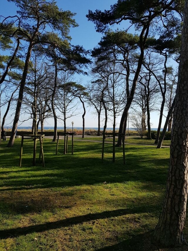 Ferienwohnung in Timmendorfer Strand - Pärchenwohnung Strandallee - Bild 17