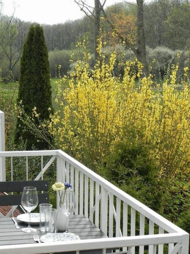 Ferienwohnung in Gustow - Ferienwohnung "Mary Poppins" mit Balkon zwischen Strand, Wald & Wiese im Südosten der Insel Rügen! - Bild 21