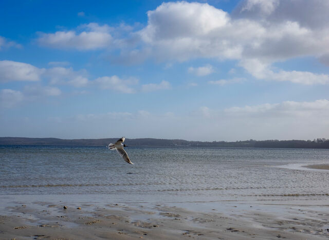 Ferienhaus in Glücksburg - Ferienhaus "Sören" - Bild 19