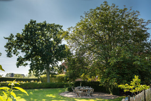 Ferienwohnung in Fehmarn OT Dänschendorf - Casa Foresta - Bild 14