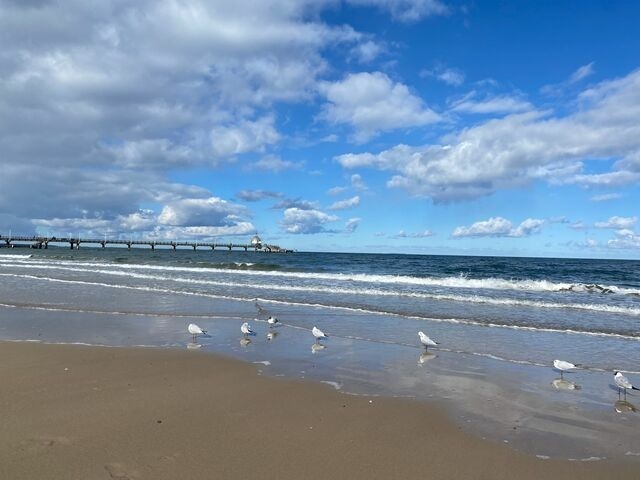 Ferienwohnung in Zinnowitz - Ostseeoase Zinnowitz - Bild 19