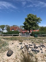 Ferienhaus in Fehmarn OT Fehmarnsund - Fehmarn-Ostseeferien"Sundliebe mit Meerblick"(194) - Bild 5