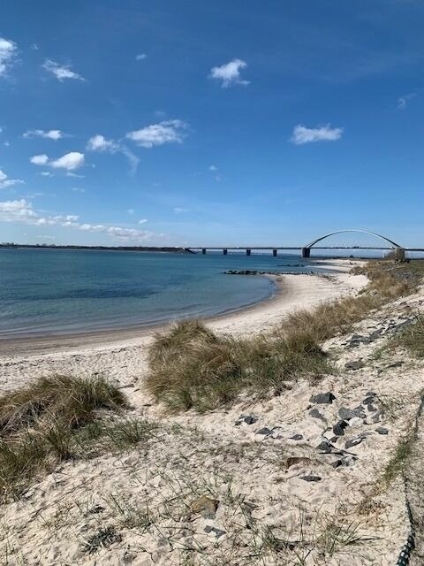 Ferienhaus in Fehmarn OT Fehmarnsund - Fehmarn-Ostseeferien"Sundliebe mit Meerblick"(194) - Bild 8