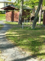 Ferienwohnung in Baabe - Whg.-2- Bella Casa - Bild 22