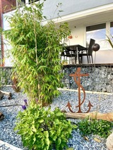 Ferienwohnung in Dahme - L&uuml;tt Kaj&uuml;t bi Frank - Bild 13