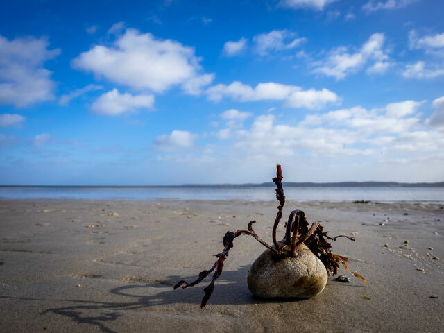 Ferienhaus in Gl&uuml;cksburg - Ferienhaus Au&szlig;enf&ouml;rde - Bild 19