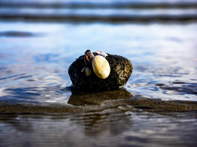 Ferienhaus in Gl&uuml;cksburg - Ferienhaus Innenf&ouml;rde - Bild 15