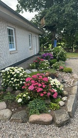 Ferienhaus in Rabenkirchen-Faul&uuml;ck - Ferienhaus Spatz - Bild 19