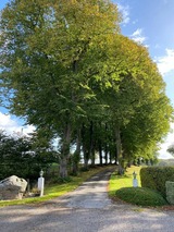 Ferienwohnung in Rieseby - Gut Büchenau - Ferienwohnung Meeresbrise - Bild 19