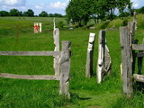 Ferienwohnung in Holzdorf - Ferienwohnung im Skulpturengarten Grünlund - Bild 12