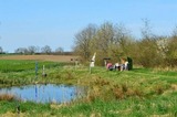 Ferienwohnung in Holzdorf - Ferienwohnung im Skulpturengarten Grünlund - Bild 16