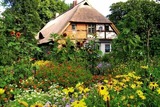 Ferienwohnung in Starkow - Ferienwohnung Birnengarten am Pfarrgarten Starkow - Bild 9